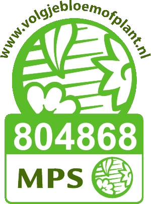 Volgjebloemofplant.nl